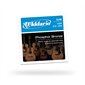 Guitar String