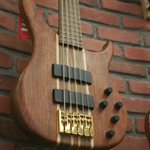 Electric Bass