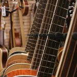 Acoustic Bass