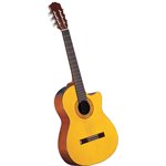 TAKAMINE – EG124C
