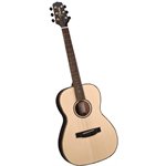 TAKAMINE – G406S