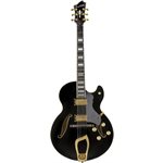HAGSTROM – HJ500®