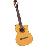 TAKAMINE – TC132SC