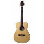 TAKAMINE – G501S