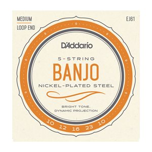 D'ADDARIO - EJ61 - 5-string banjo set
